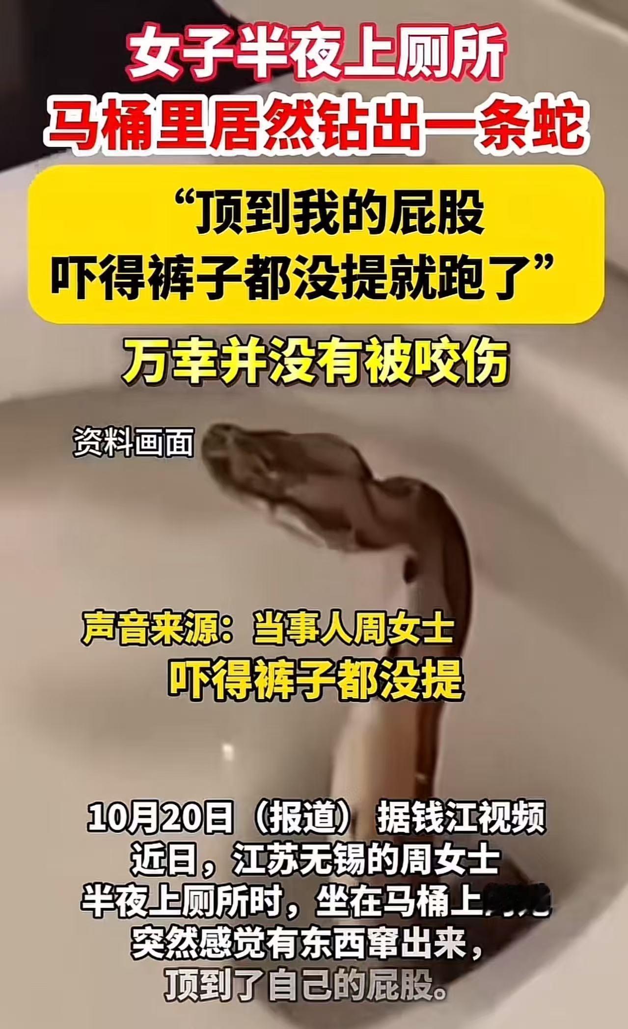 深夜惊魂！无锡，女子半夜上厕所，突然感觉有东西顶自己的“屁眼”，女子回头一看，吓