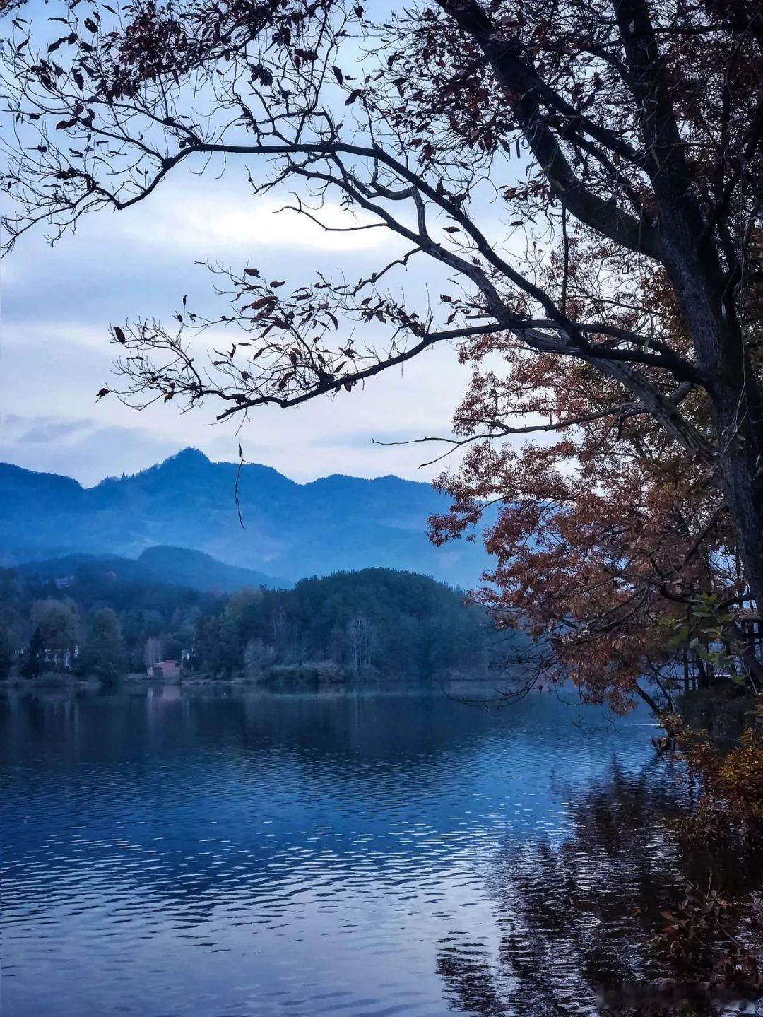 壁纸 远山浸在薄雾里，湖面揉碎整片清冷暮色，枯树携着残红临水而立，世间喧嚣都沉进