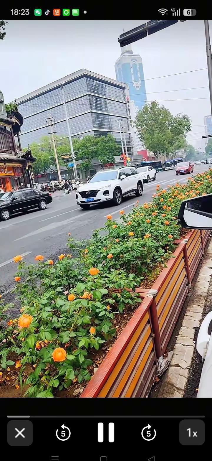 文明城市 道路千万条安全第一条 发现城市美好现象