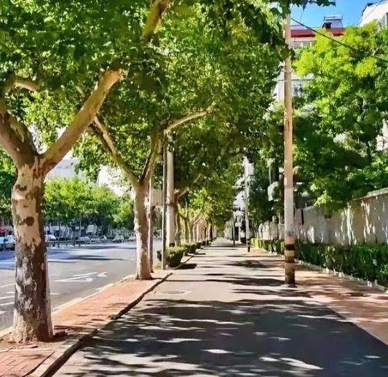给大家提个醒，
从8月7号晚上19点43分开始，
非必要情况下，千万别在每天18