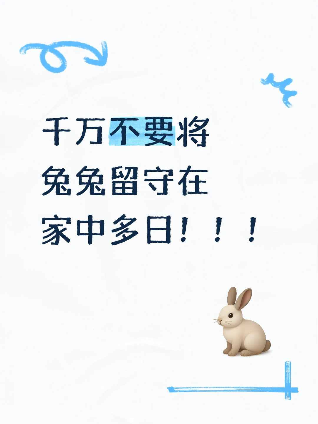 兔兔留守家中多日，疾病几率大于健康