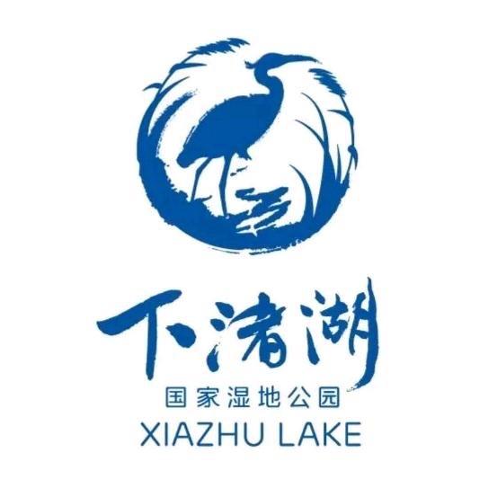 下渚湖湿地风景