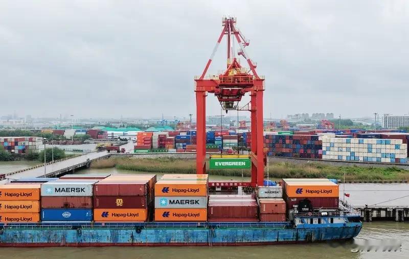 美欧商会急得跳脚，恰恰证明中国这招打中了七寸！

这两天，外媒被一条消息刷屏了：