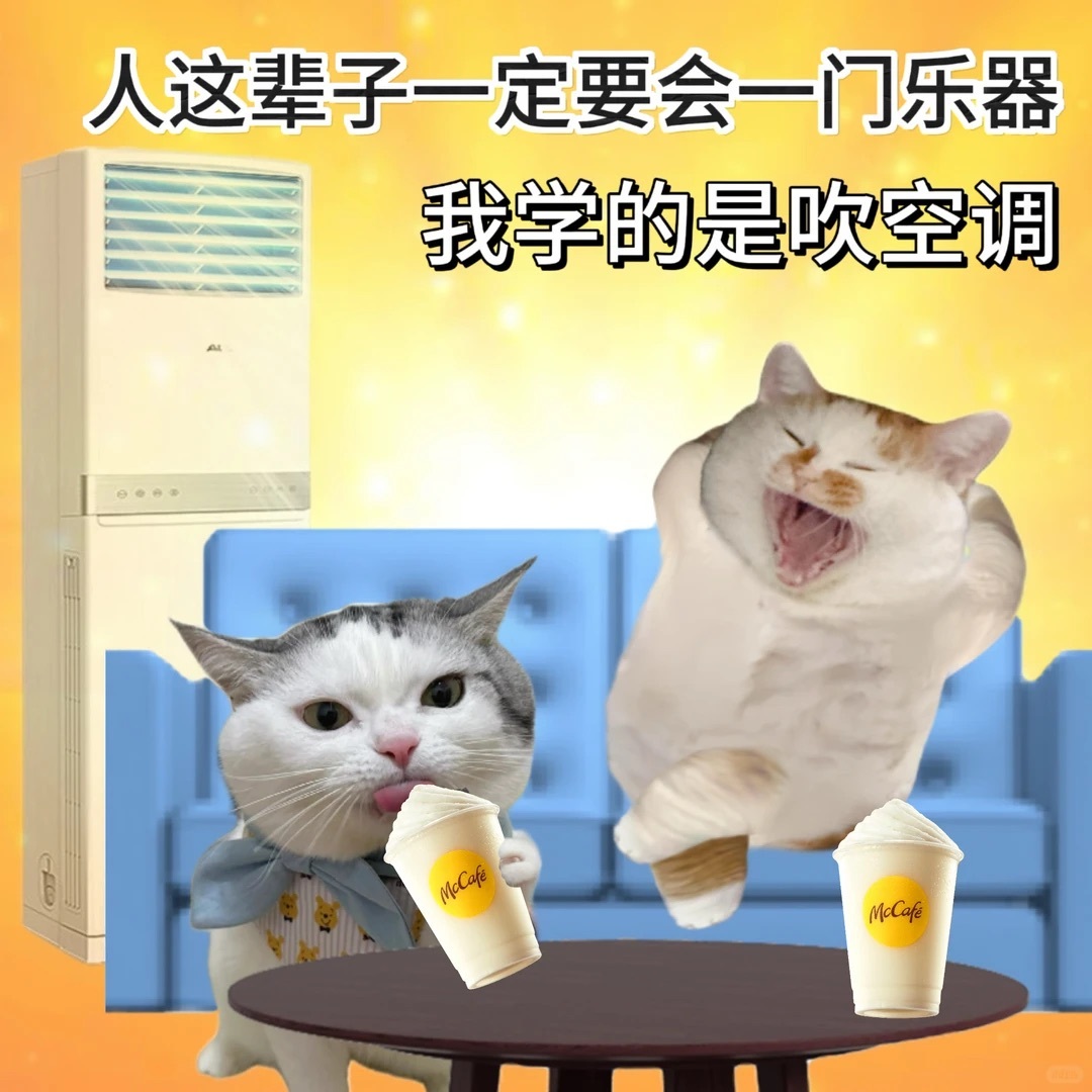 分享一组表情包/小猫抽象～ 