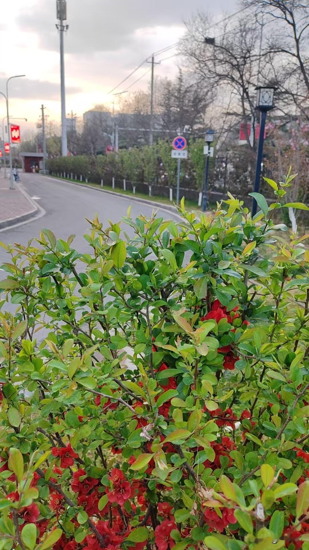 人到了老年,还需要接受教育吗?人有好奇心，包括很多哺乳动物也有好奇心，对外界的很