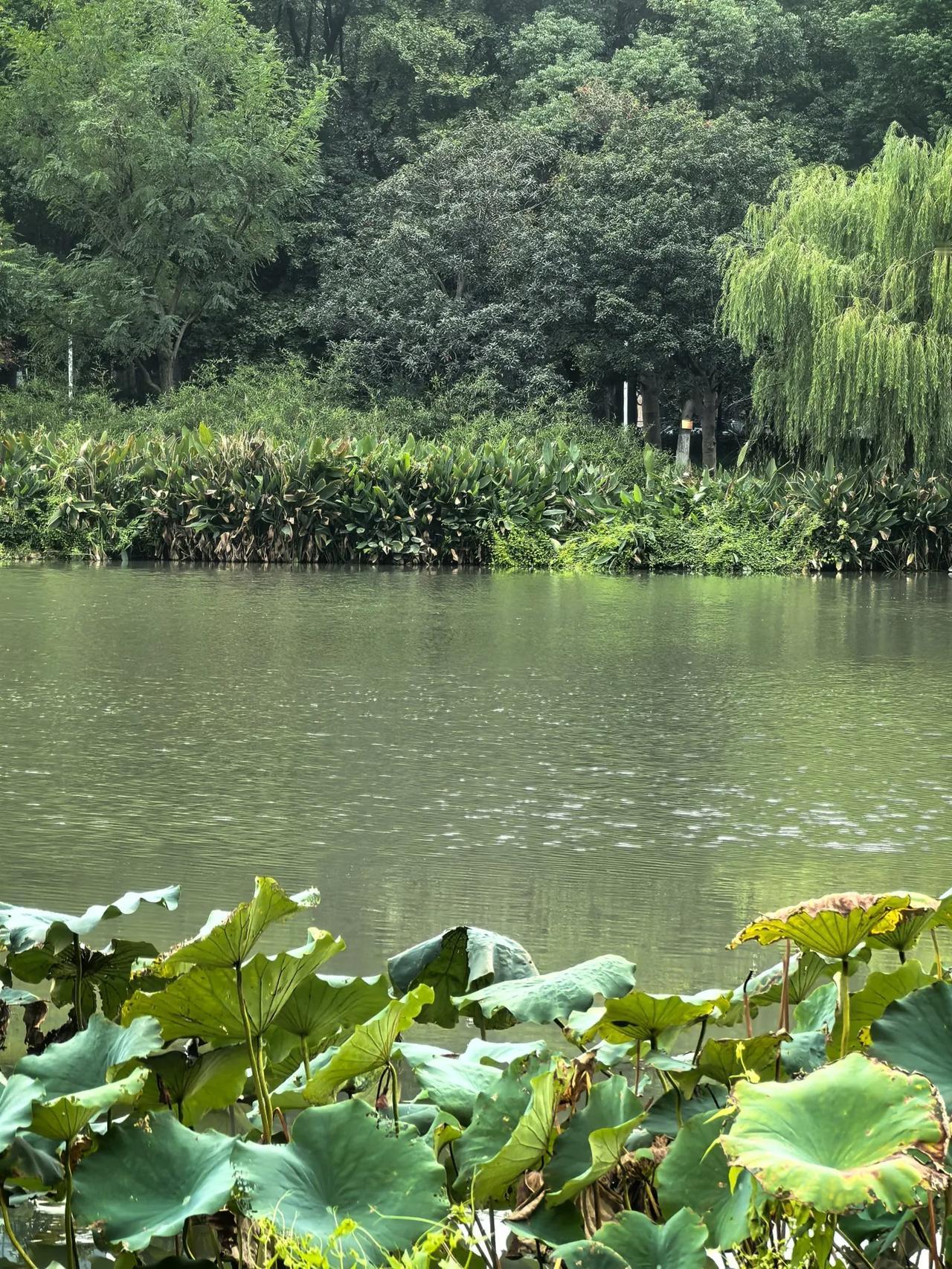 秋深山有骨，
霜降水无痕～