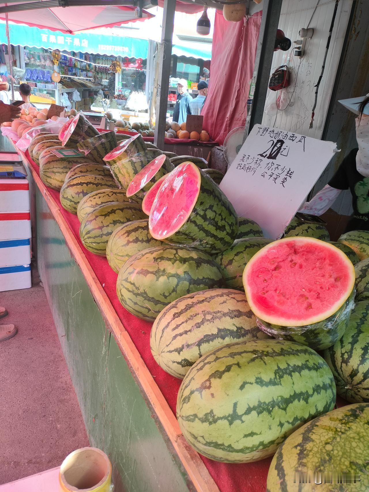 真正的下野地西瓜莫索湾西瓜🍉，要 7 月 10 号以后才能成熟的头茬大田瓜，2