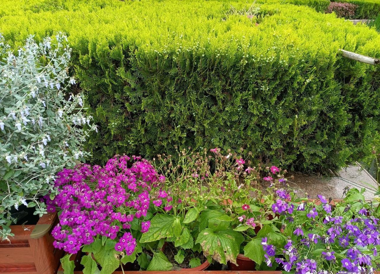 【今年5月将进入厄尔尼诺状态】近日，网络上有说法称“140年以来最强级别的厄尔尼