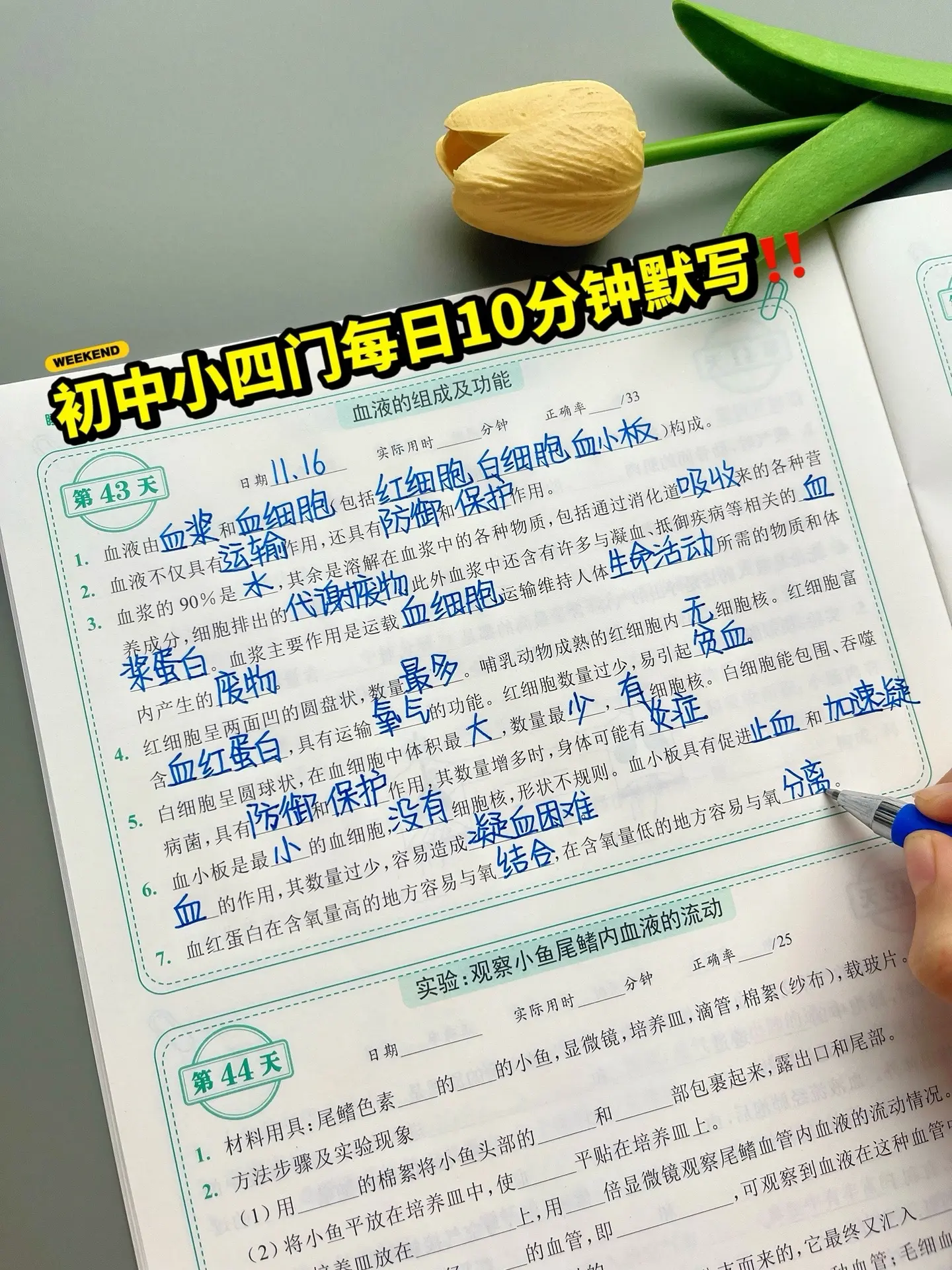 初中小四门睡前默写，初中三年的知识点考点全覆盖，同步课本，每天一练省时高效