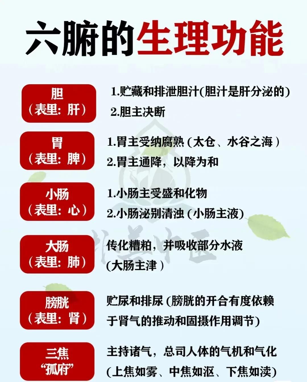 人体的六腑包括胆、胃、小肠、大肠、膀胱和三焦，它们各自承担着不同的生理功能。

