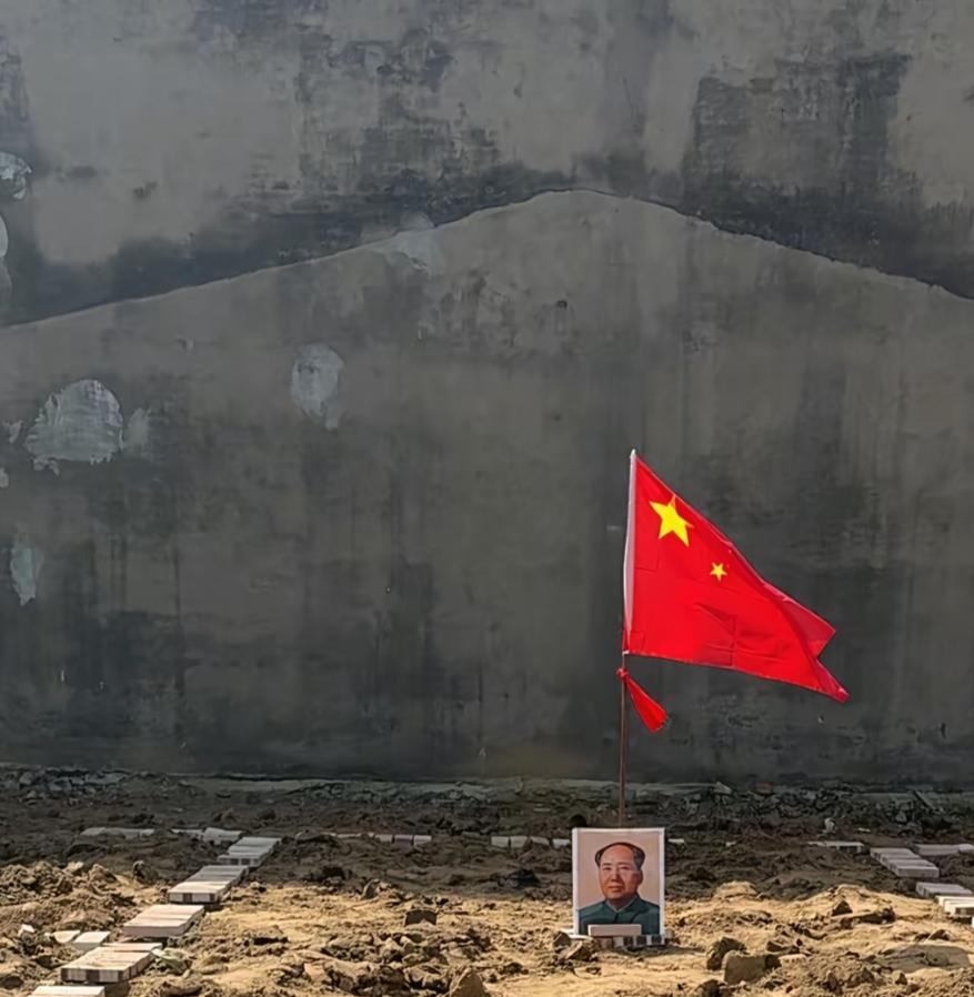 照片7