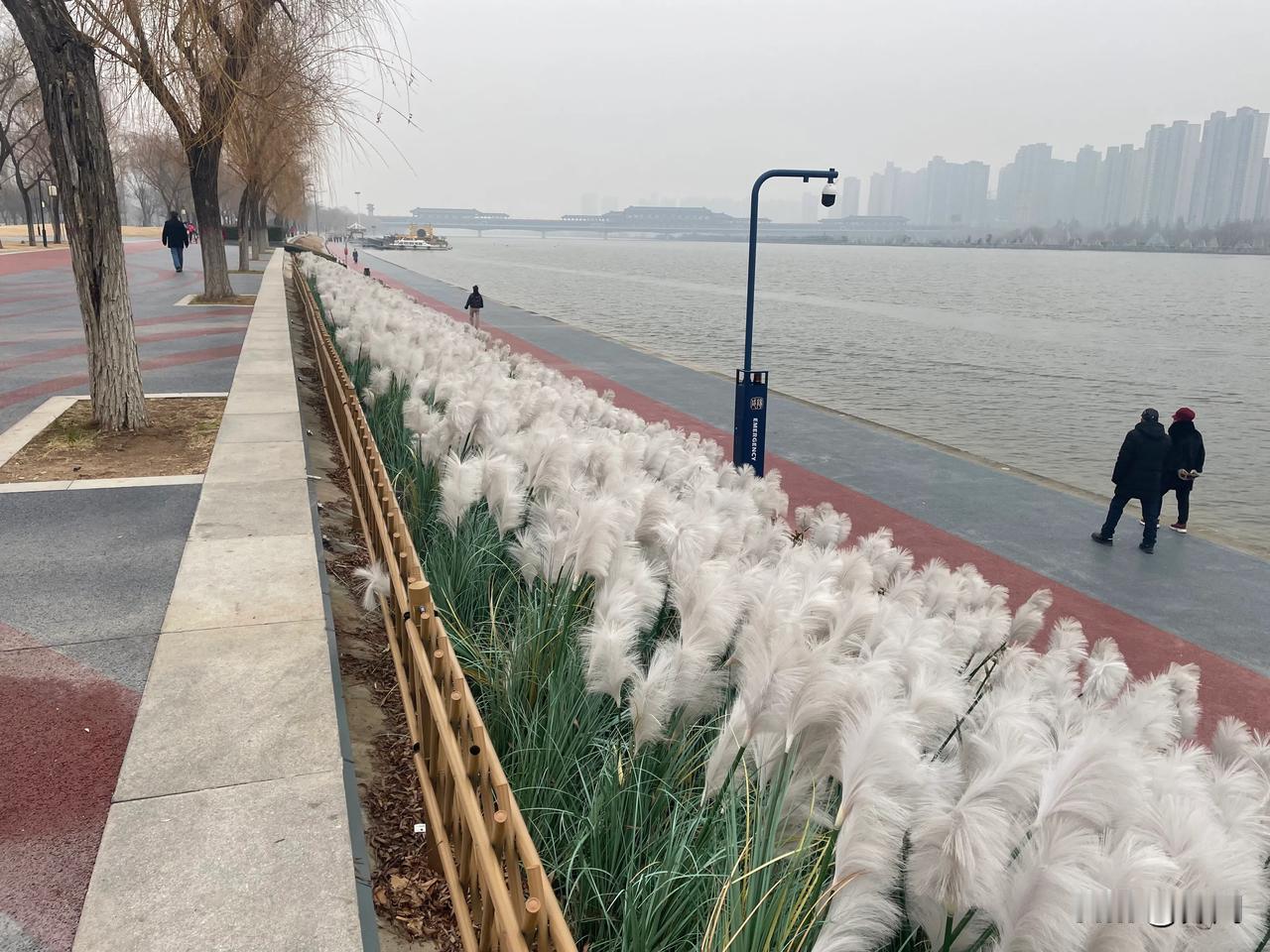 【七绝•正月飞花不是花】
正月飞花不是花，忽如一夜到天涯。
思将大地银装裹，又把