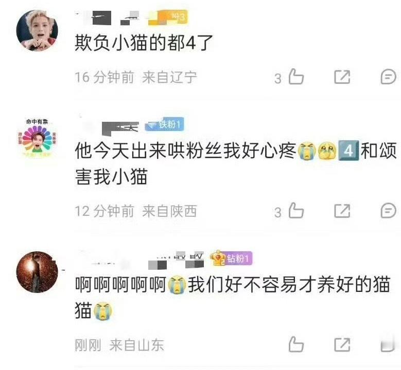 养过猫的都知道，猫咪很爱干净的，并且拉屎也会去猫砂盆拉。反正我家猫咪拉屎都会乖乖