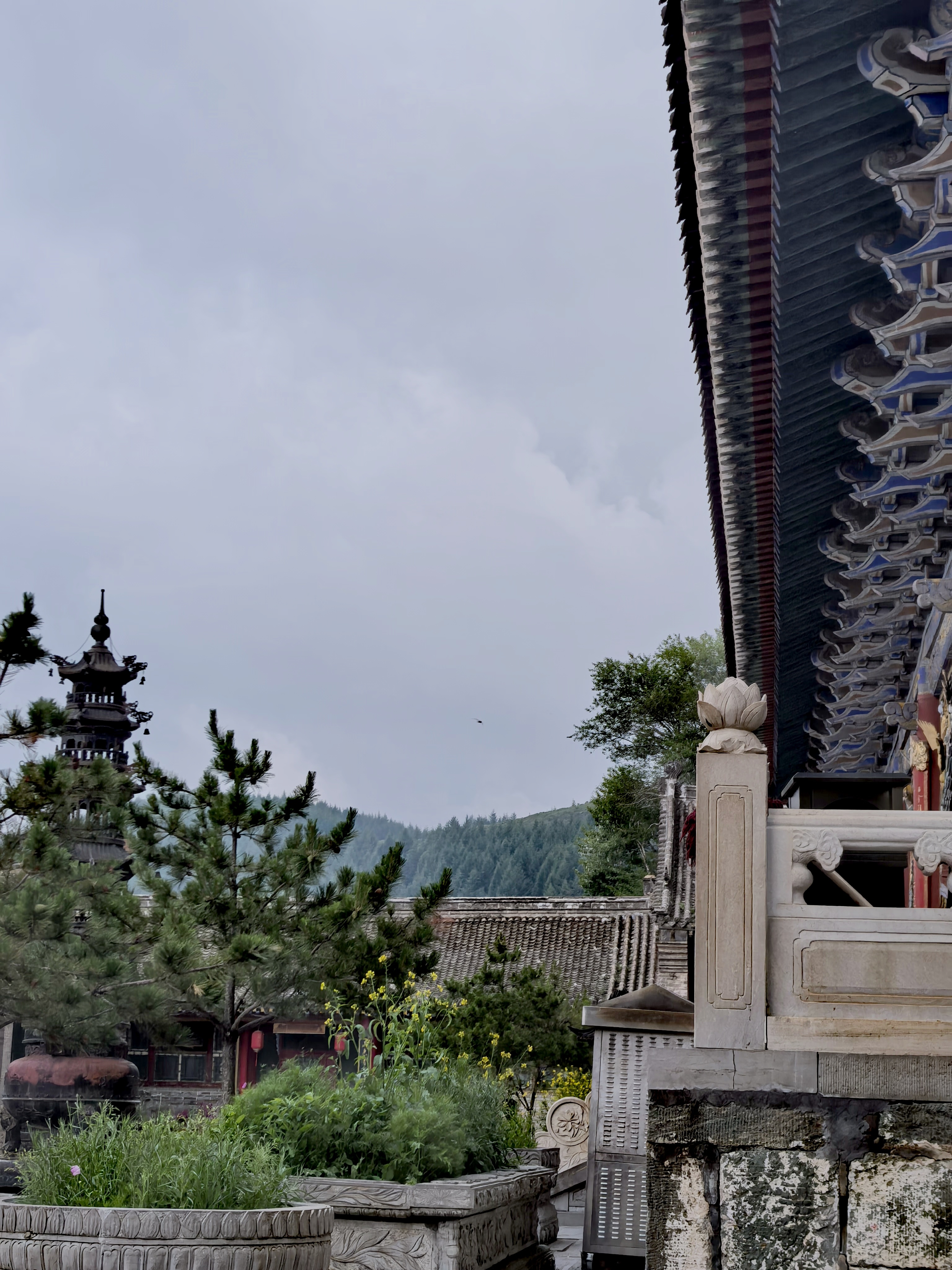 云川万里终晴霁，风雨千番始见天。清亦凉兮清凉学堂诗词诗词