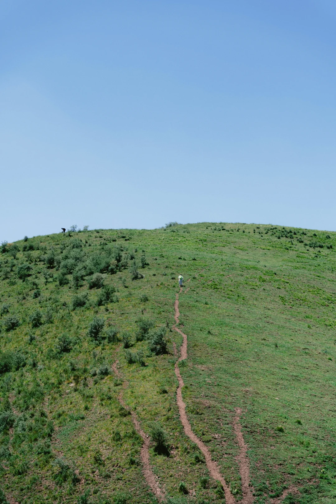 爱高山草甸，爱牛马羊，中秋去夏末的麻田岭
