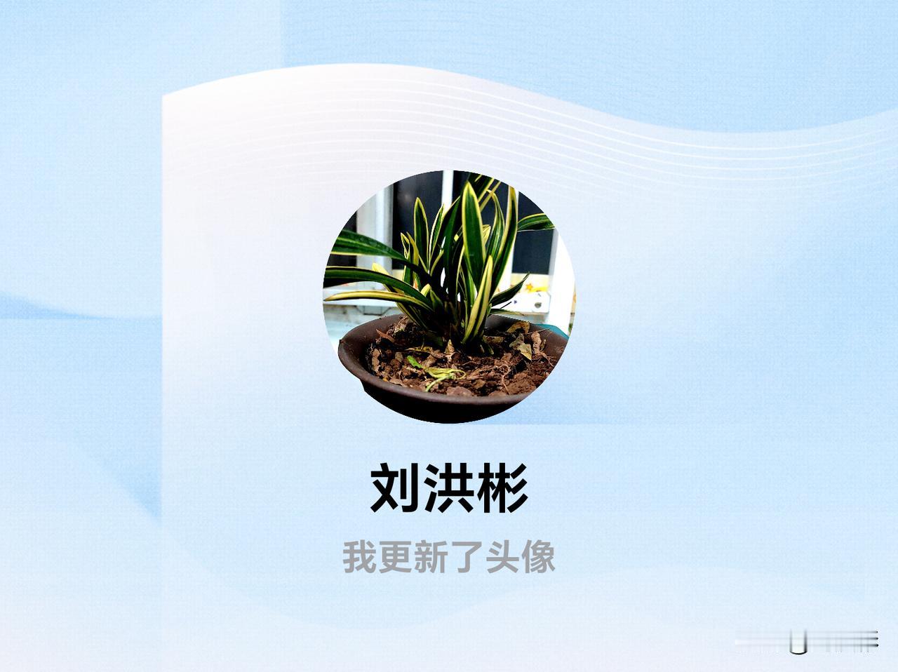 快来看看我新换的头像吧