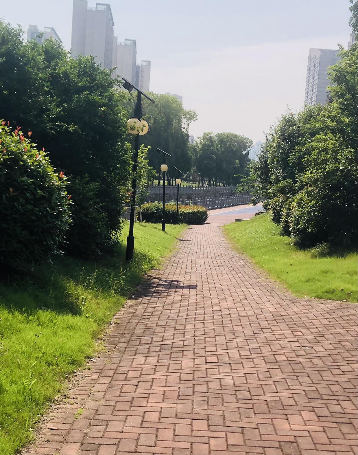 我的今日状态：😁轻松愉快
我这里的天气：☀️晴天
今天常州天晴燥热，二十四到三