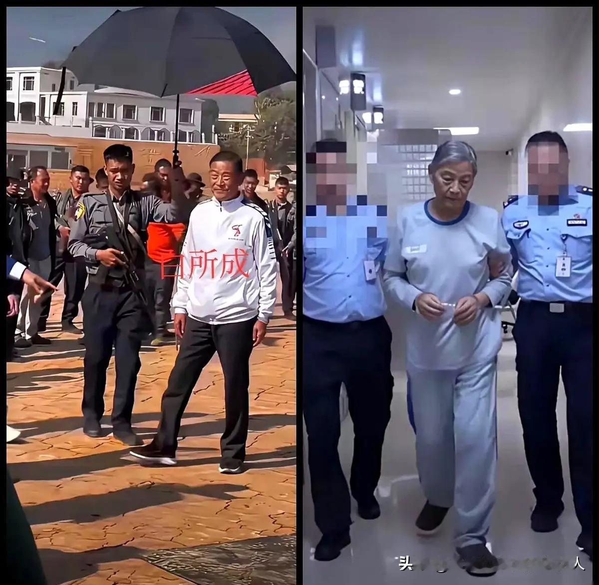 白所成死刑，二儿子白应苍死刑，这白家直接领了五份死刑判决，一家子彻底栽了！

我