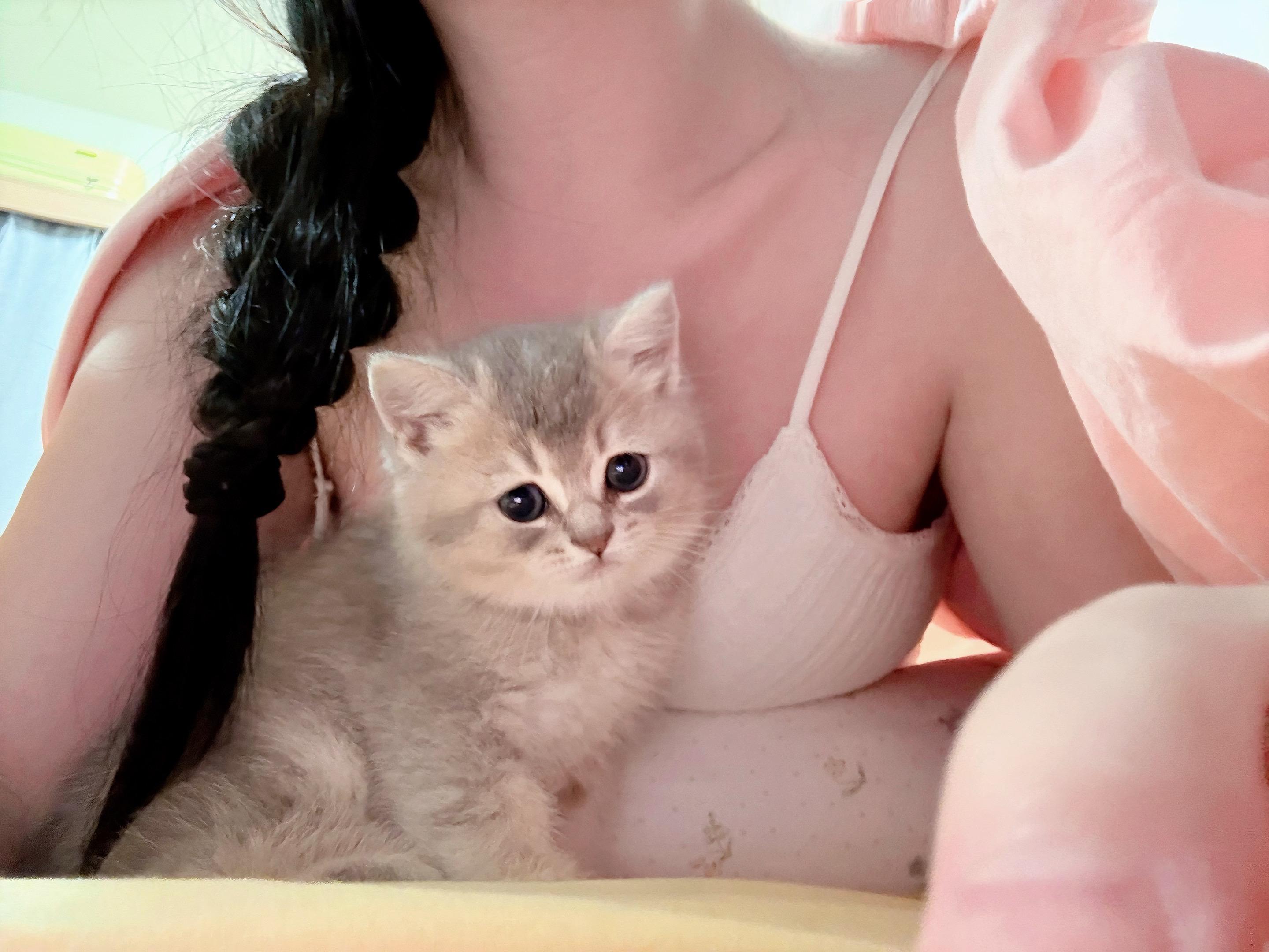 我有一只非常可爱的小猫 它常常调皮的把家里弄的很乱 又常常在我哭泣的时候陪着我