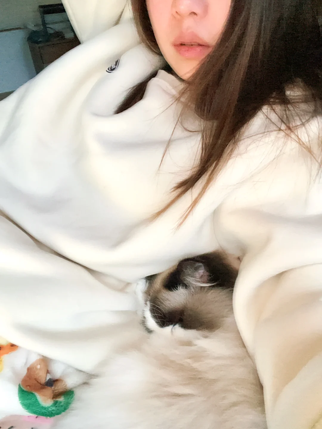 磨人的小妖精🦊