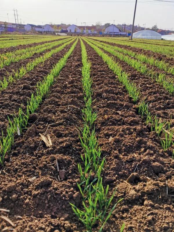 快乐每一天，幸福每一年，健康到永远，年年挣大钱。愿大家都能在这美好的春日里收获满