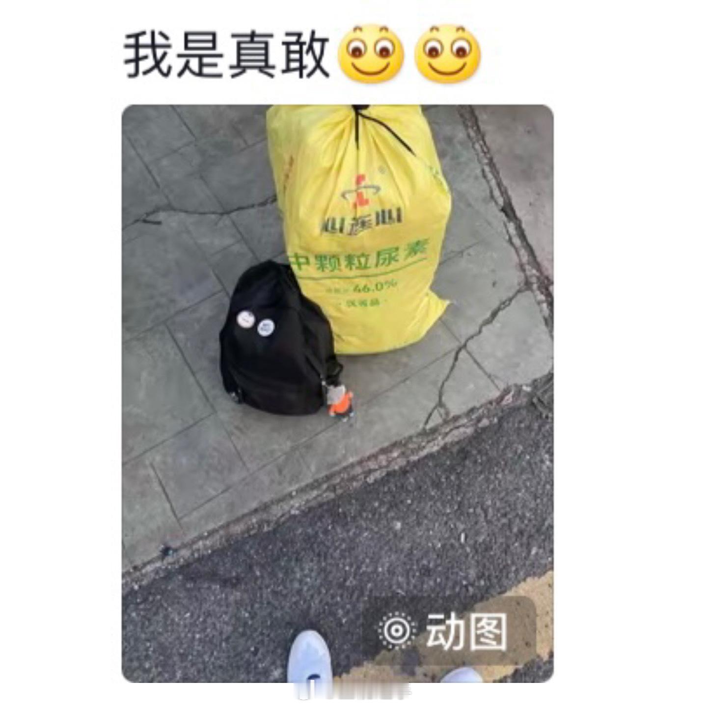 装行李还得尿素袋有性价比[doge]#开学好city啊##一头钻进笑声里# ​​