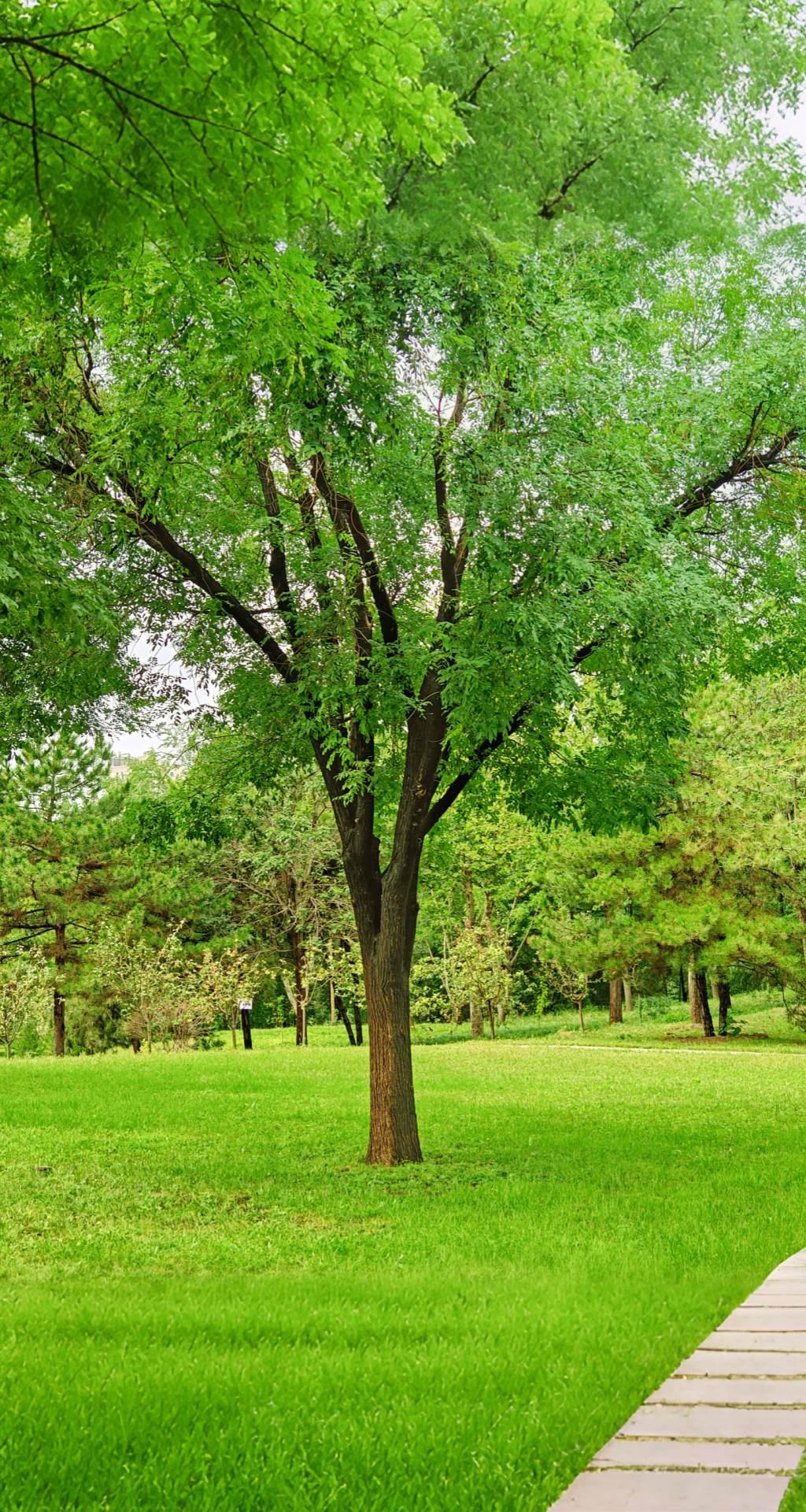 路费我自己出，酒店我自己订，吃饭我付，不用攻略，就想去别的城市呆一下，找个陌生人