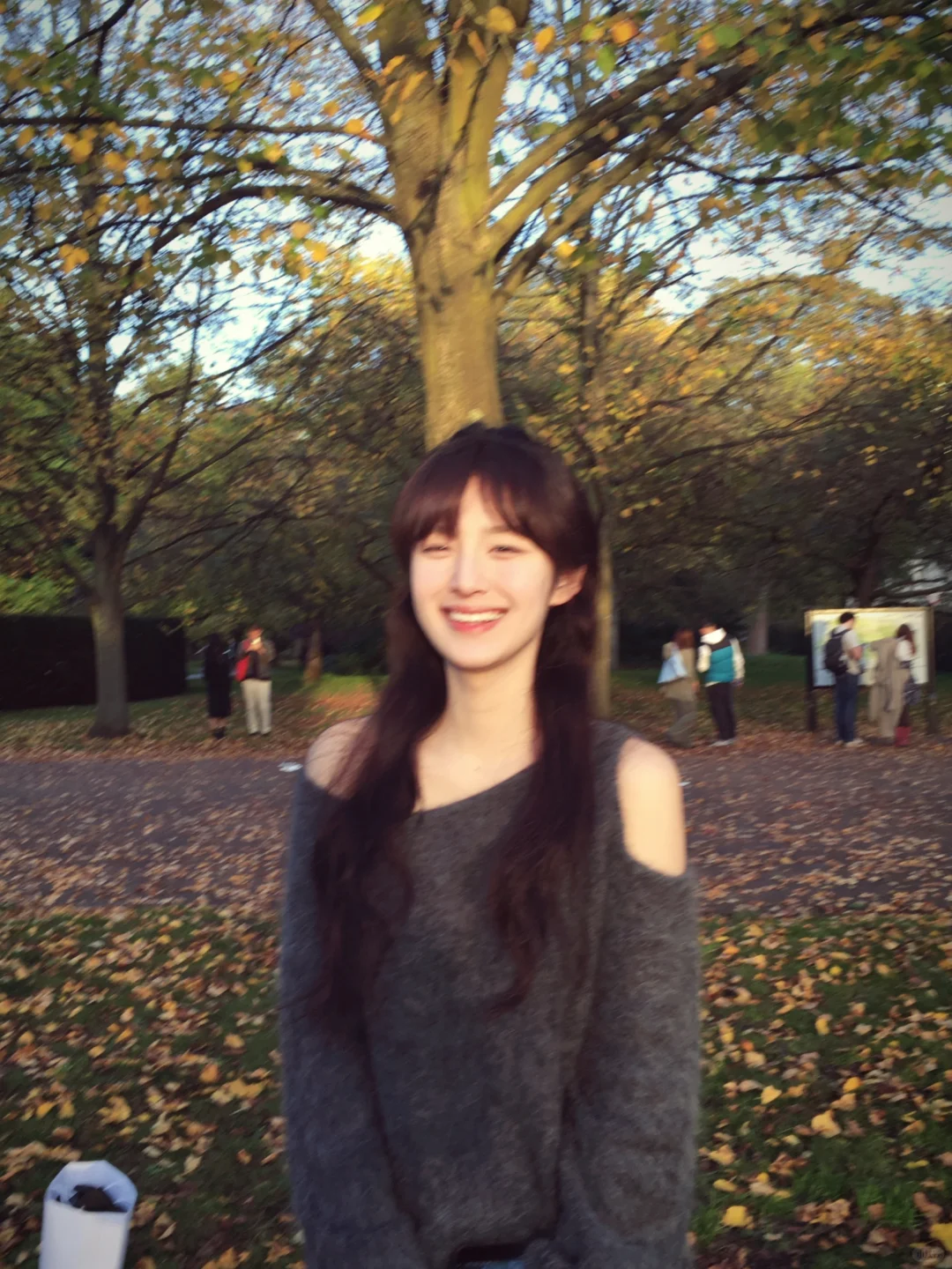 🍂