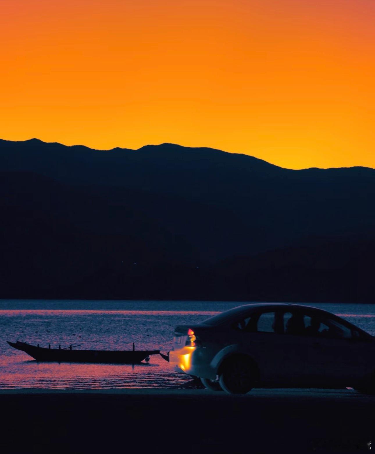 玩加早安 大家想养什么品种的猫呢？2026lck2026lpl