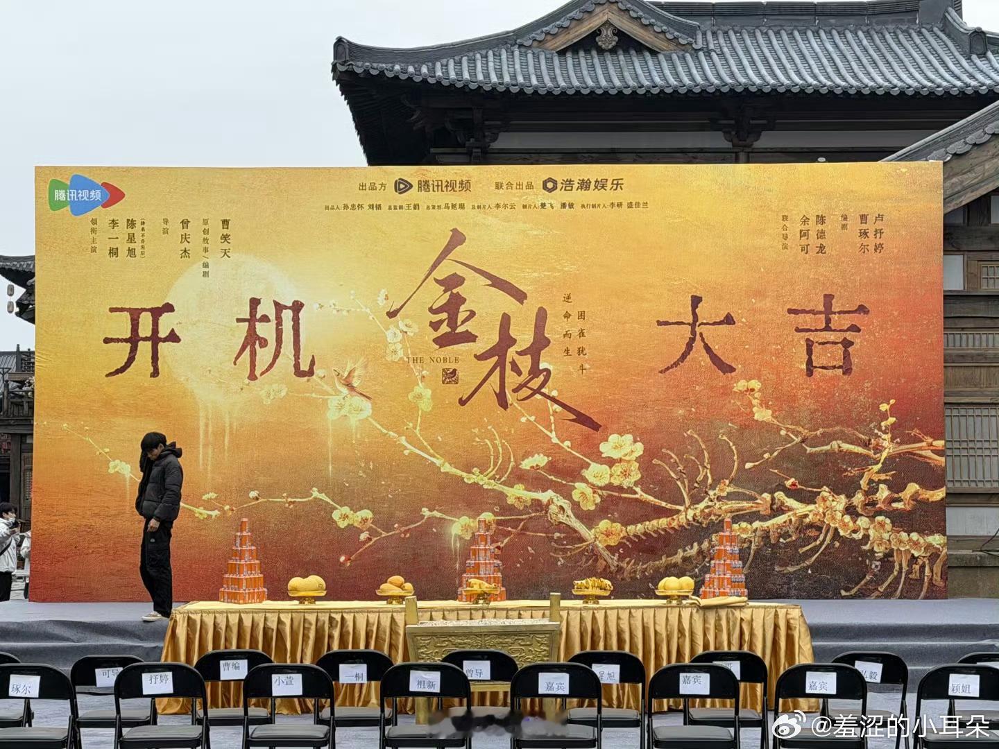 《金枝》官宣阵容：李一桐、陈星旭（排名不分先后） ，李一桐微压了。轧戏和突然的喜