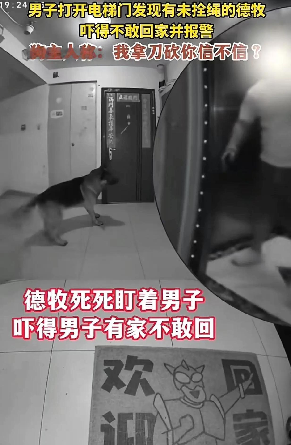 刑拘！北京德牧堵门案：不拴绳还持刀，最高5年！

北京“德牧堵门”案不是简单的邻