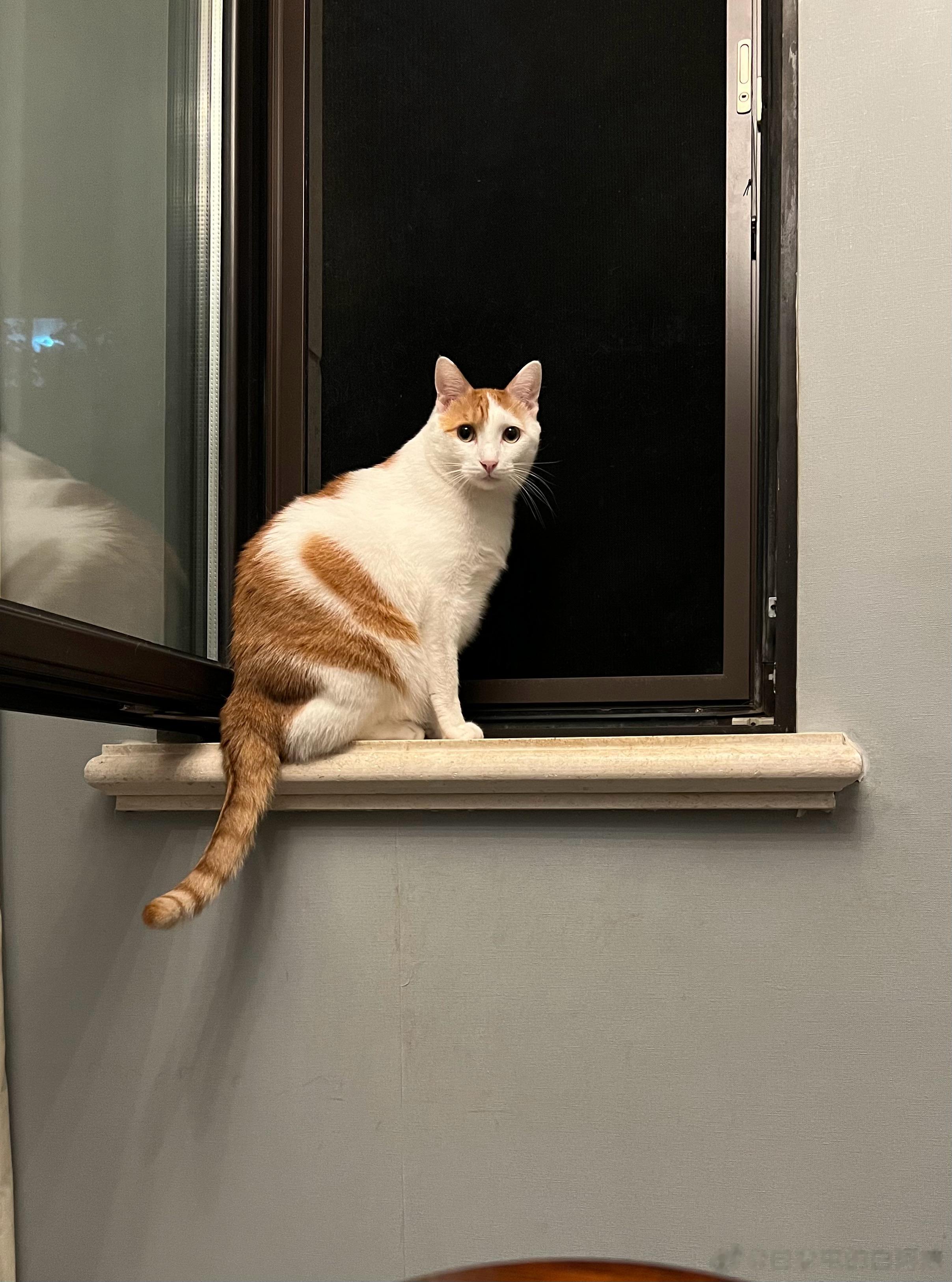 好看！怎么能同时做到猴和清秀并存呢？ ​​​