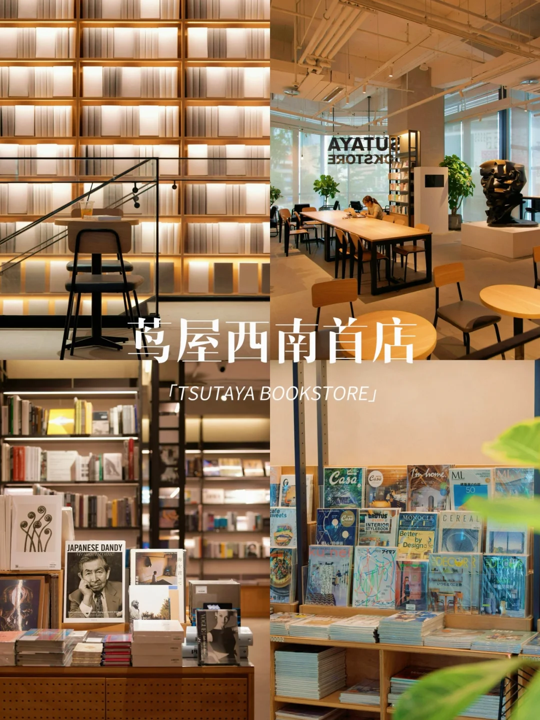 西南首家‼全球最美书店来成都了📚