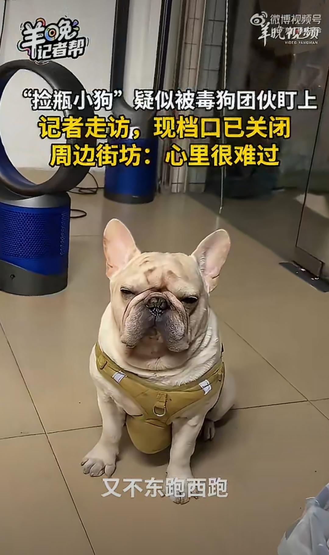 自娱自乐，炒作吧，一天到晚没有栓绳到处跑的狗，有啥追捧的，为了流量炒作吧。
媒体