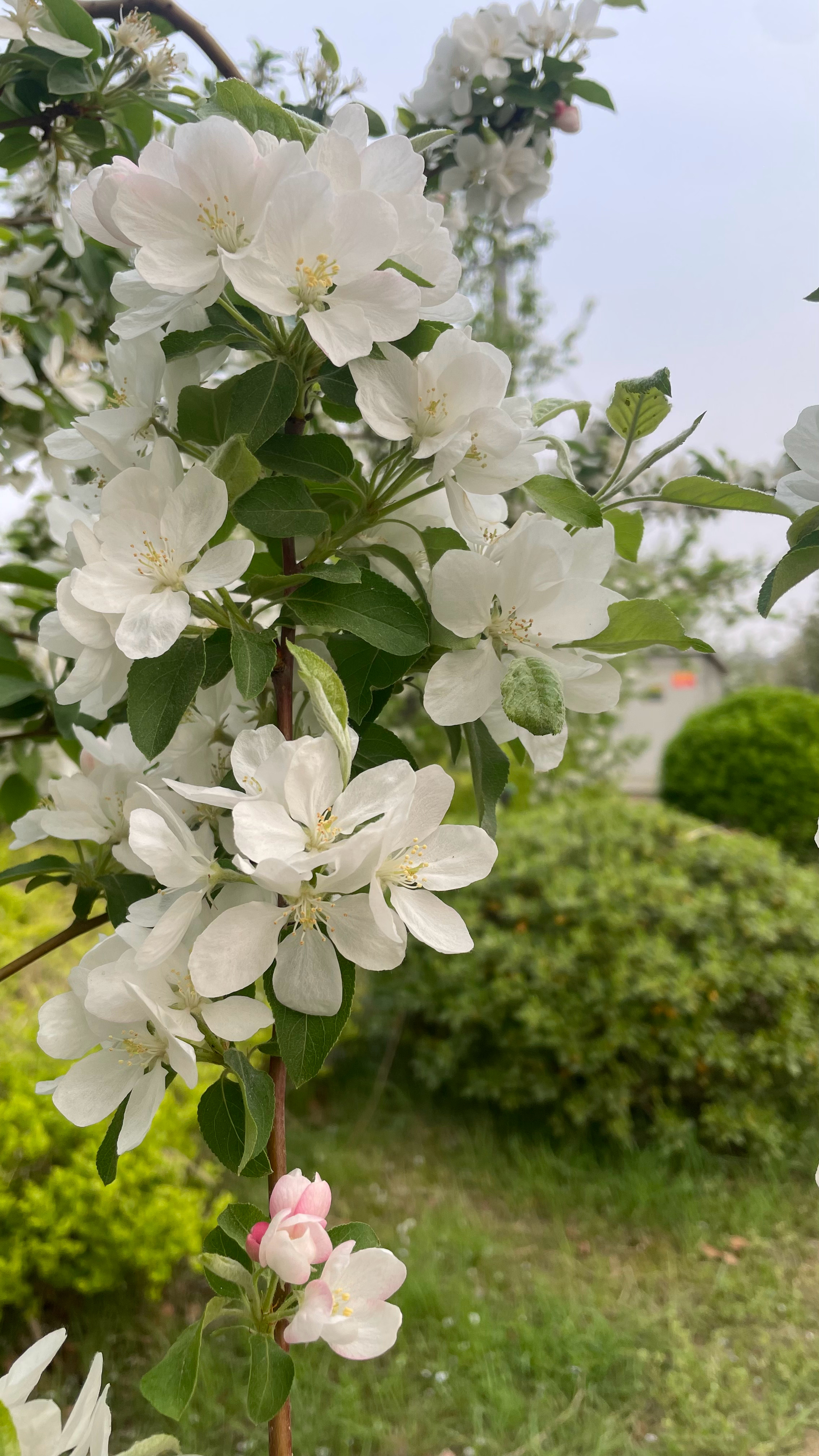 来与三月做个告别吧悲喜参半 却又有些煎熬的这段时光终于完结了生活该怎么样呢不卑不