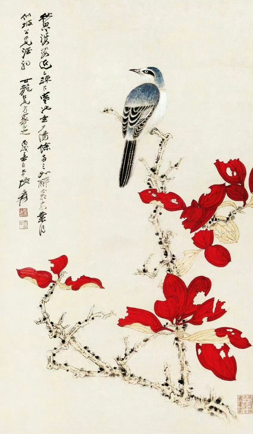 “  枫红珍禽 …  ” ​ ​​​