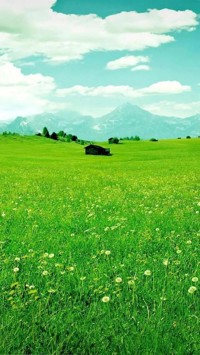 2026的我，希望你不再被外界的声音裹挟。就像那些孩子，在信里涂涂改改，却是在用