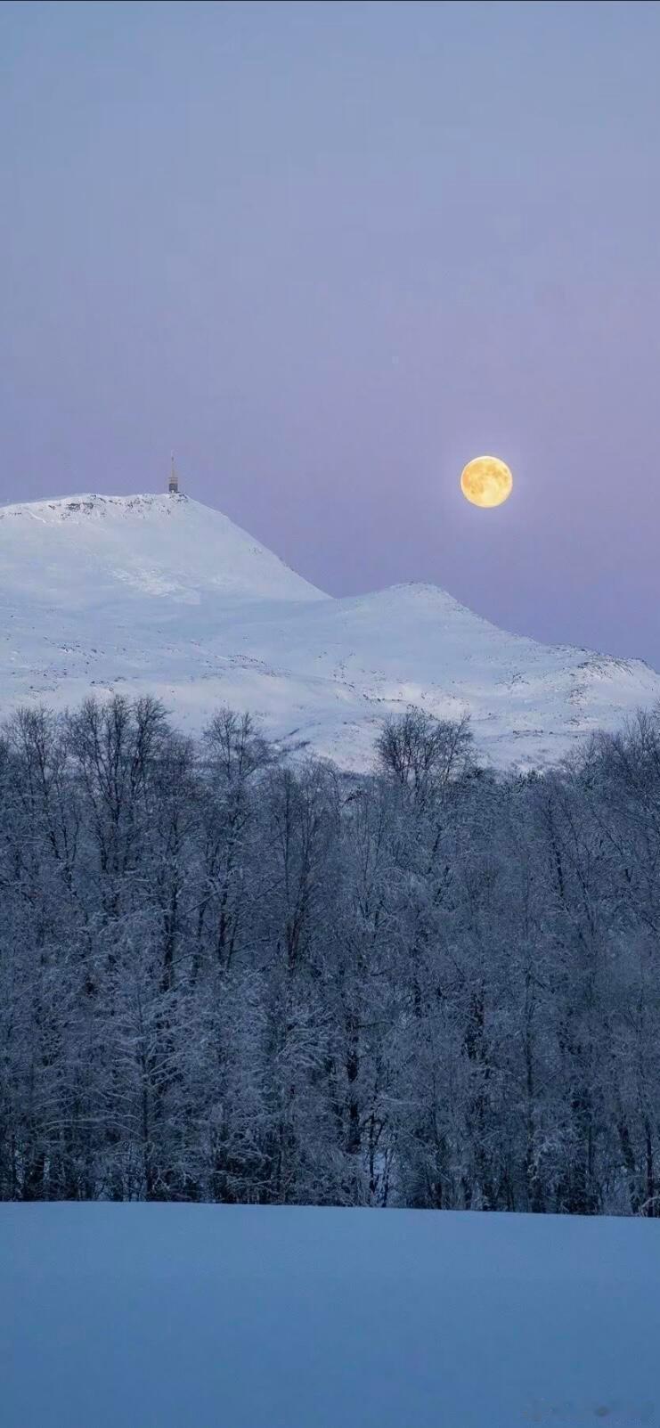 🪻风景壁纸分享 