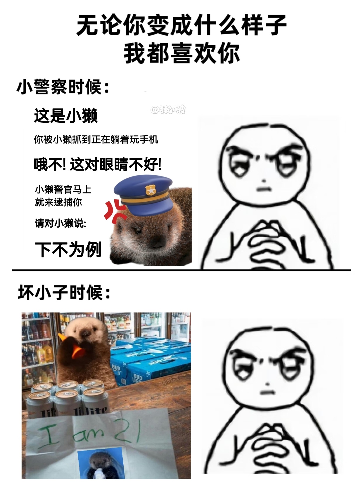 无论獭变成什么样子，我都会喜欢獭的🥹meme海獭