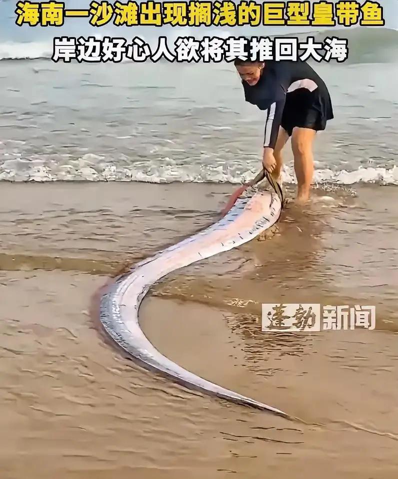 太罕见了！海南，女子在海边游玩时，突然发现有个东西被海水冲了上来，上前一看竟然是