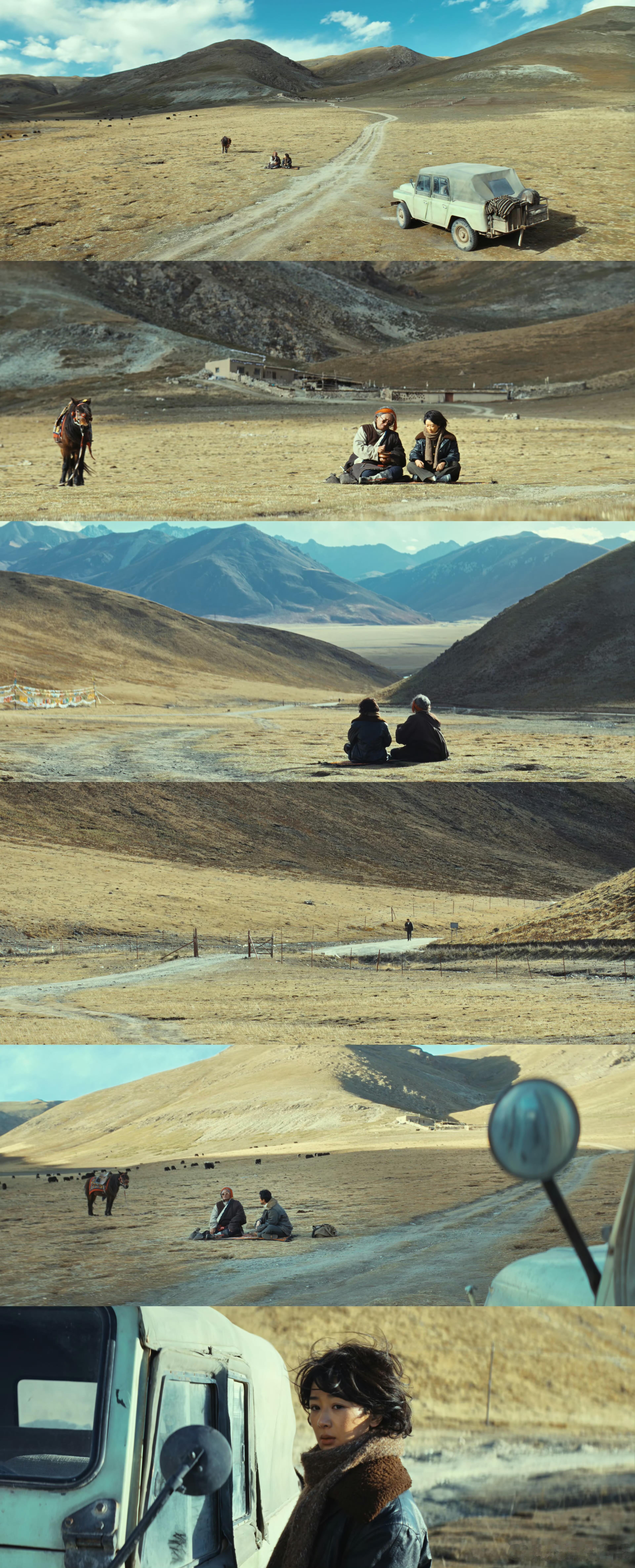 生命树是青海最强文旅宣传片 青海文旅这波直接躺赢啊！《生命树》把青海的壮阔风光和