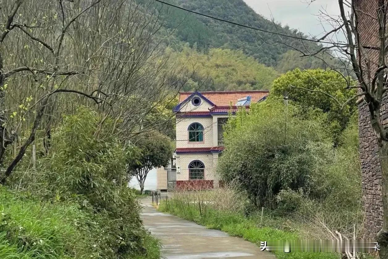 城里卷不动了？这届年轻人掉头回村，把农民房改成了美术馆和咖啡厅

没有土气的罗马