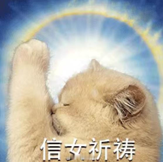 🎁拖延症来了～之前没开的 下次再见🧡多互动机会更多哦～懒人套装：短裤：随身裤