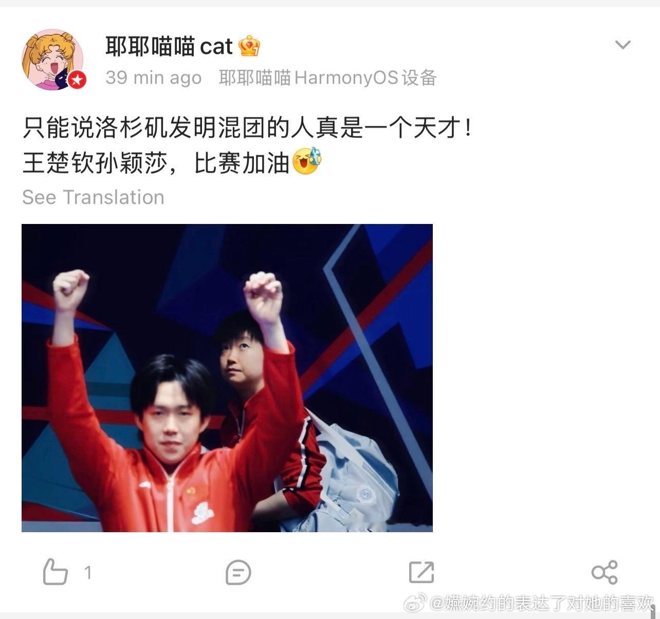 全世界最想赘孙颖莎的除了王楚钦就是莎头粉，根本不管孙颖莎本人，因为知道混团有人输