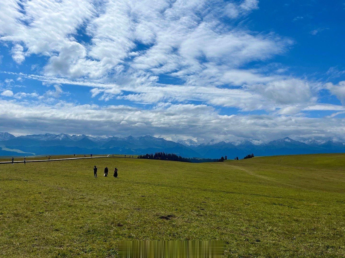 【秋高气爽到喀拉峻大草原撒野去#记录旅行# 】秋天的喀拉峻大草原秋草黄、牛羊肥、