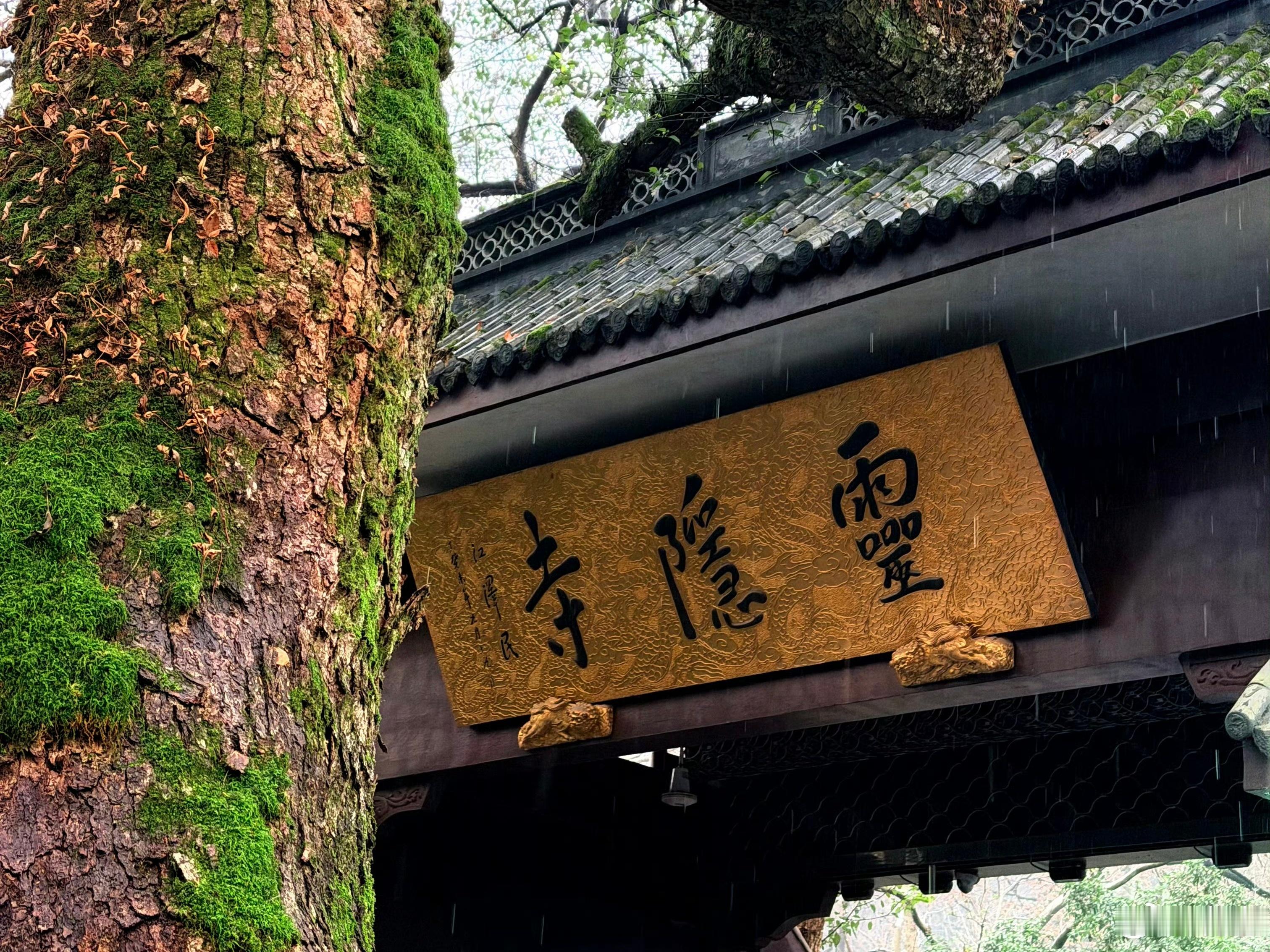 婚姻不是情绪安置所，更不是“合法绑定”婚姻本身最重要的，是一种共同体意识真正成熟