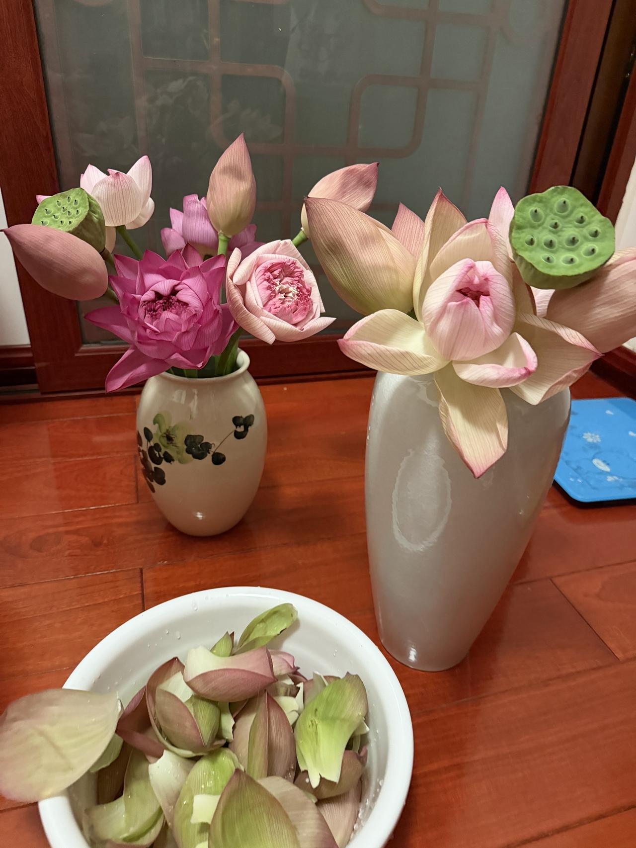 为了等你醒好，晚上加了个班，值了！超美花瓶里的粉荷