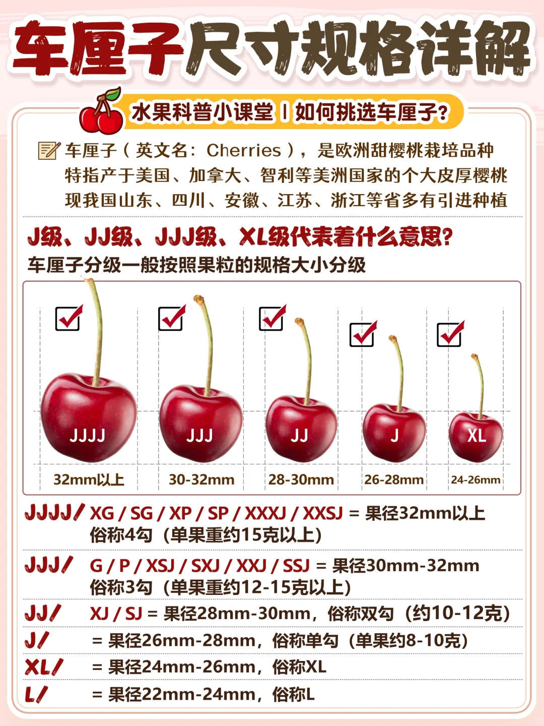 车厘子季节到🍒涨知识🔥JJJ级是啥意思
