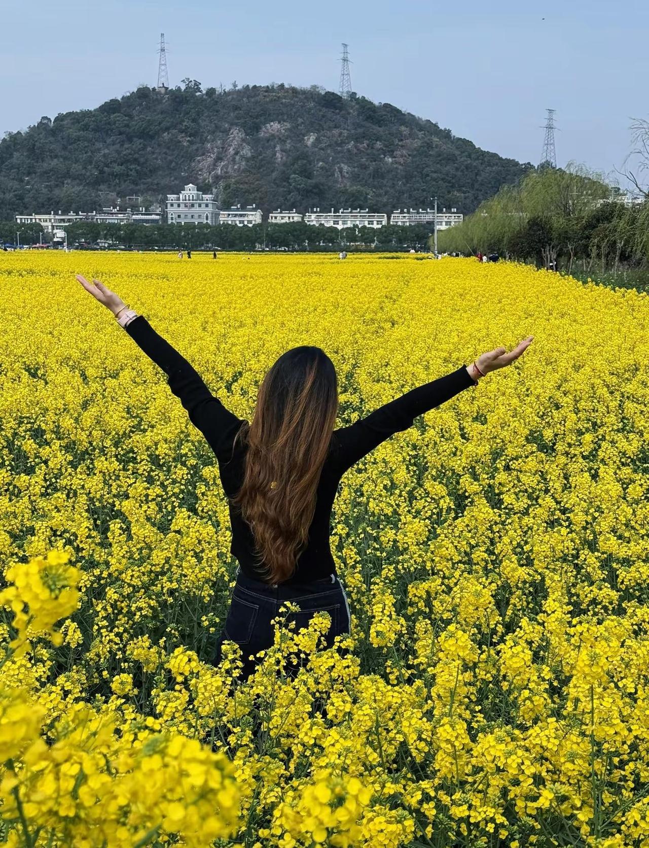 青天大老爷！青！天！大！老！爷！青天大老爷 田曦薇 张凌赫 油菜花