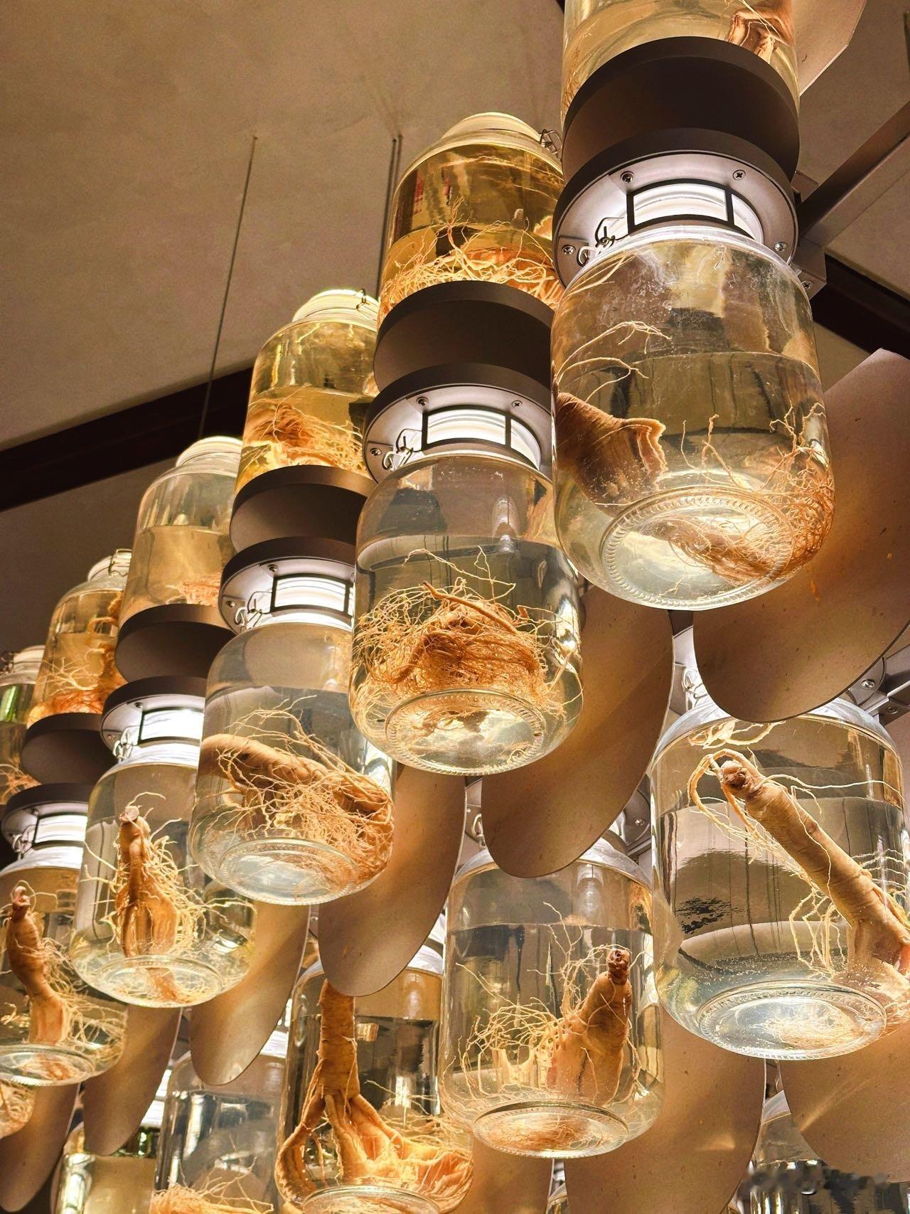 西安！120根人参790斤白酒封入暖黄灯盏，温润滋养，匠心成就一碗暖心参鸡汤。